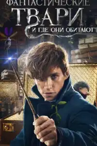 Фантастические твари (франшиза) 1